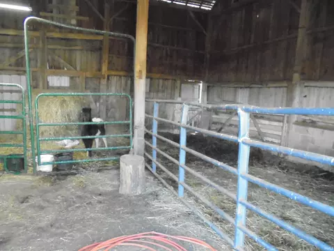 Other - 7157 N Wilbur Wright, Mooreland, IN 47360 photo 4 of 4