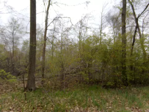 4275 E 200 S, Lagrange, IN 46761 photo 3