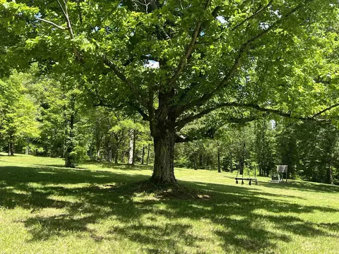 11897 Wright Rd, Springville, IN 47462 photo 29