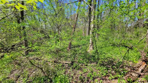 tbd S 250 W Rd, Silver Lake, IN 46982