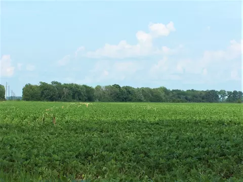N 375 W Road, Petersburg, IN 47567