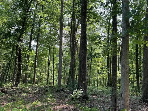 8634 N Fish Rd, Bloomington, IN 47408 photo 6