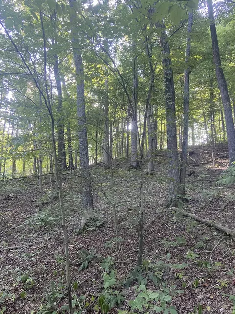 00 E Rocky Road Rd, Bloomfield, IN 47424 photo 8