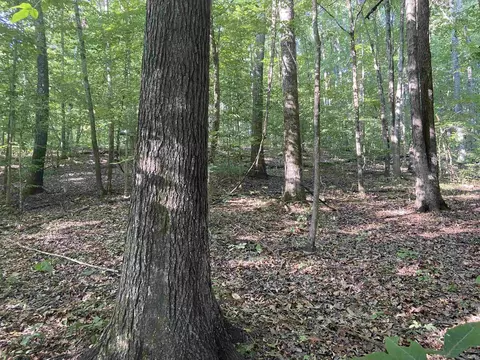 00 E Rocky Road Rd, Bloomfield, IN 47424 photo 10