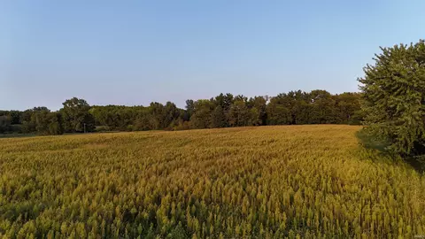 County Road 225 E, Kewanna, IN 46939