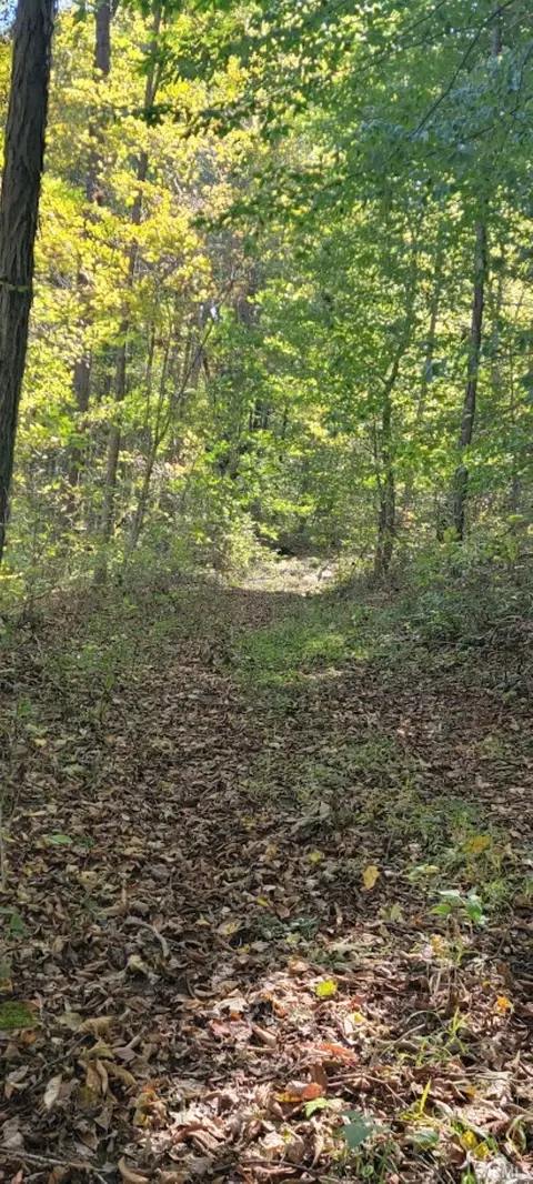 30 75 Acres Murray Rd, Mitchell, IN 47446 photo 7
