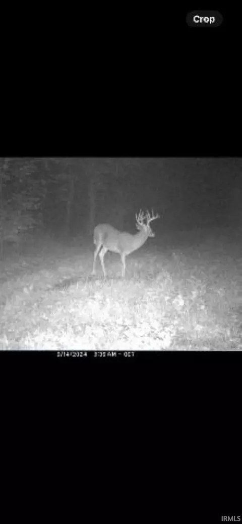 30 75 Acres Murray Rd, Mitchell, IN 47446 photo 15