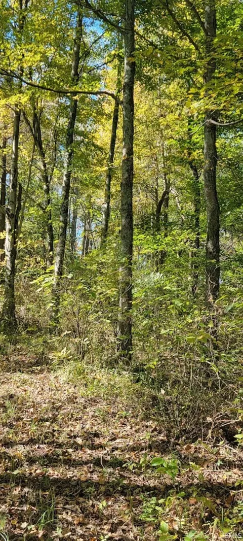 30 75 Acres Murray Rd, Mitchell, IN 47446 photo 10