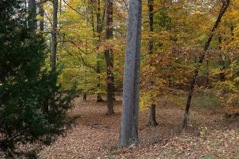 4780 Kings Ridge Rd, Mitchell, IN 47446 photo 25