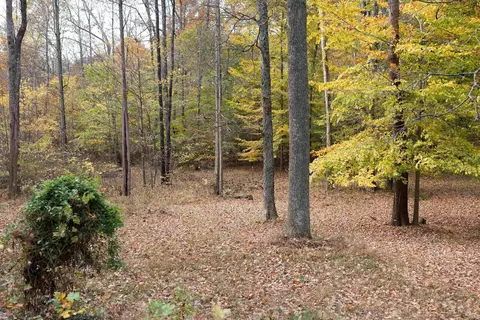 4780 Kings Ridge Rd, Mitchell, IN 47446 photo 26