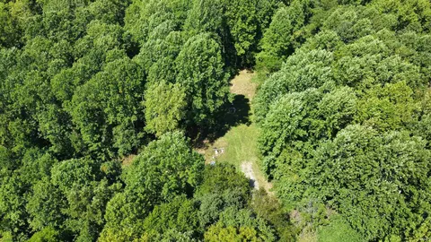 2146 S Iron Mountain Rd, Bloomfield, IN 47424