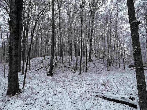 6600 County Rd 63 Rd, Saint Joe, IN 46785