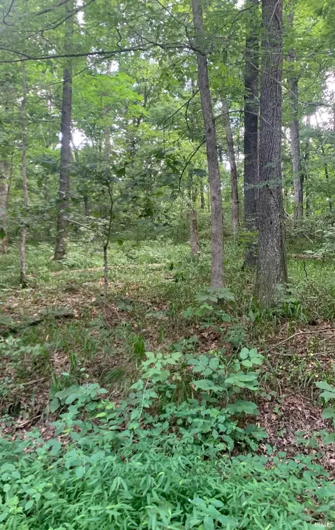 0 Utopia Rd, Derby, IN 47525 photo 5