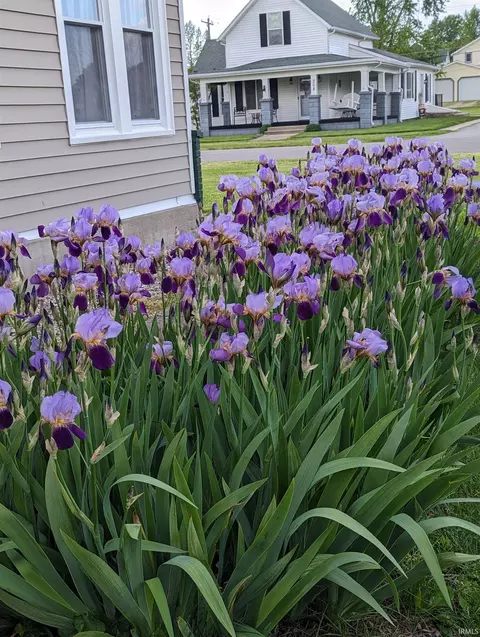 307 Earl St, Chalmers, IN 47929 photo 14