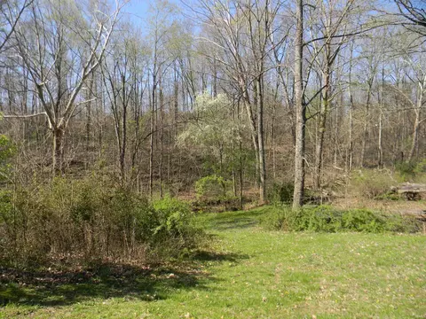 1137 Bucklew Rd, Spencer, IN 47460 photo 28