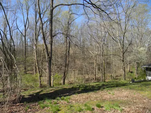 1137 Bucklew Rd, Spencer, IN 47460 photo 30