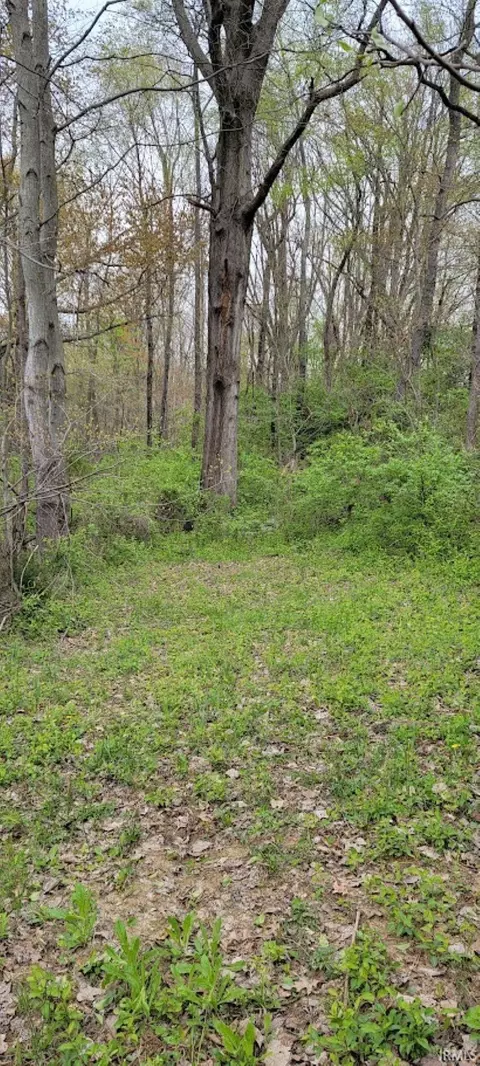 6552 E 1000 N, Odon, IN 47562 photo 3