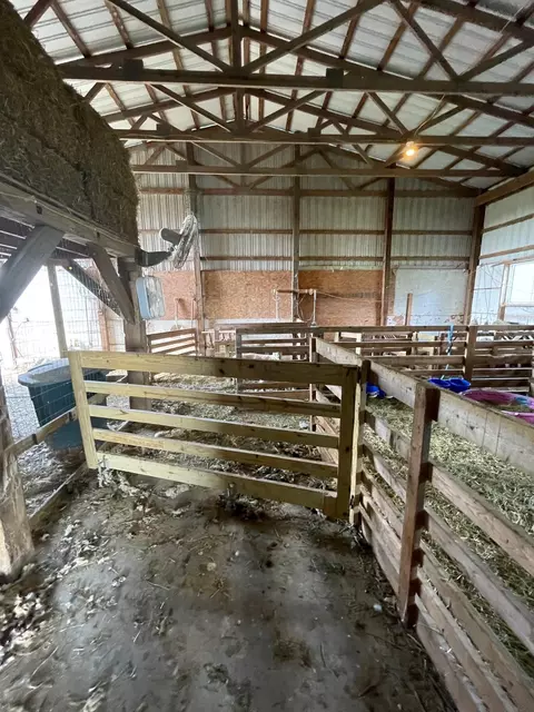 0298 County Road 51, Waterloo, IN 46793 photo 11
