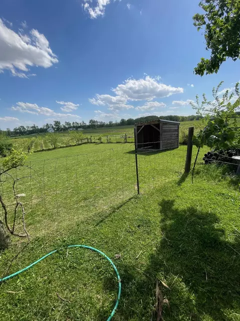 0298 County Road 51, Waterloo, IN 46793 photo 15