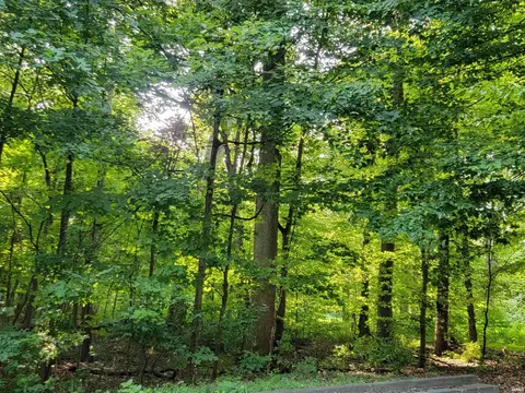 Jefferson Street, Jasper, IN 47546