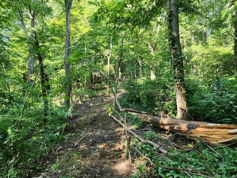 18 Acres County Road 1250 W, Medora, IN 47260