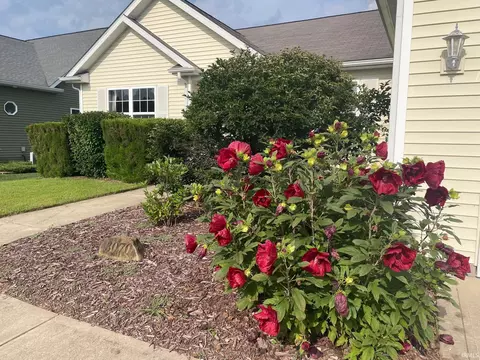 3070 N Cantlin Dr, Bloomington, IN 47404 photo 2
