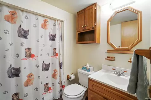 2455 Cedar Lake Rd, Waterloo, IN 46793 photo 25