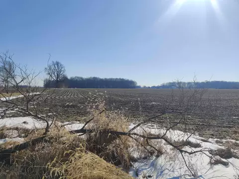 0 700 Rd, Rossville, IN 47905