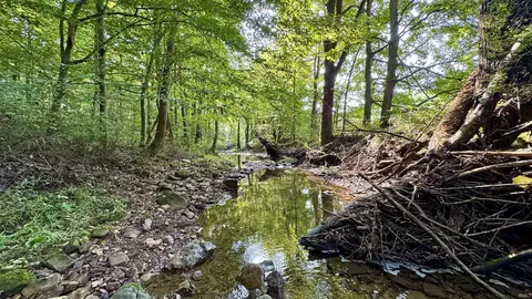 2600 S County Road 1000 W, French Lick, IN 47432