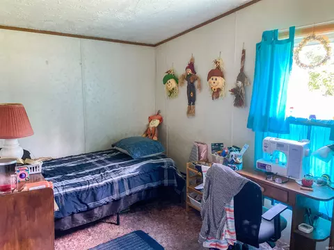 202 E Grant St, Lynn, IN 47355 photo 12