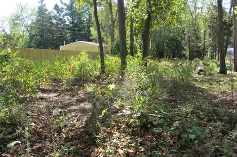 000 Lane 420 Jimmerson Lk, Fremont, IN 46737