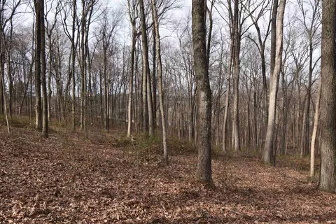 0 S 500 E Rd, Ferdinand, IN 47532 photo 19