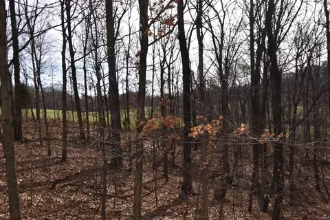 0 S 500 E Rd, Ferdinand, IN 47532 photo 8