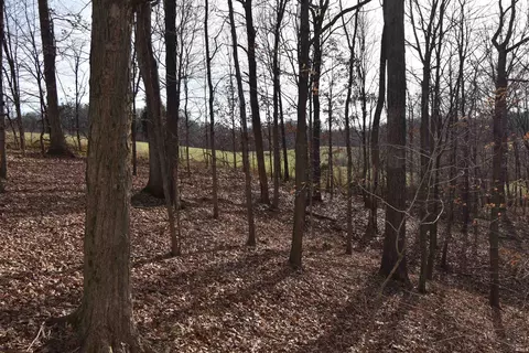0 S 500 E Rd, Ferdinand, IN 47532 photo 9