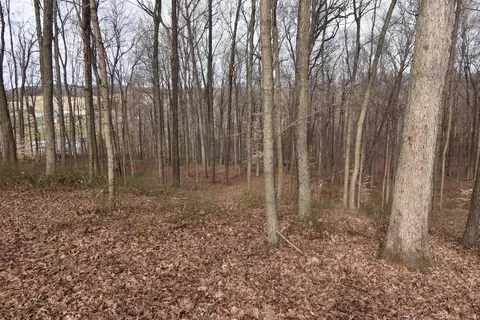 0 S 500 E Rd, Ferdinand, IN 47532 photo 21