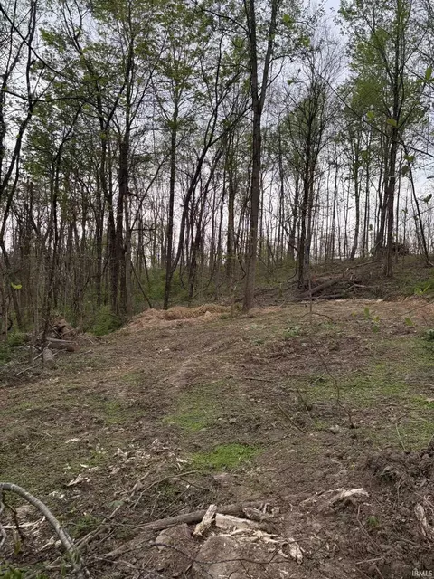 8517 E Sylvania Rd, Bloomfield, IN 47424 photo 10