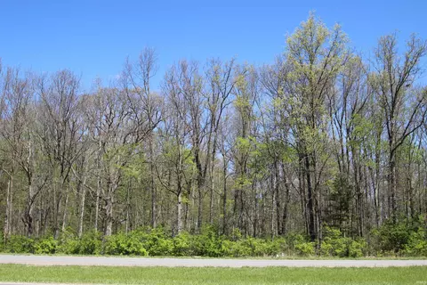 0 Hessler Benton Rd, Muncie, IN 47304