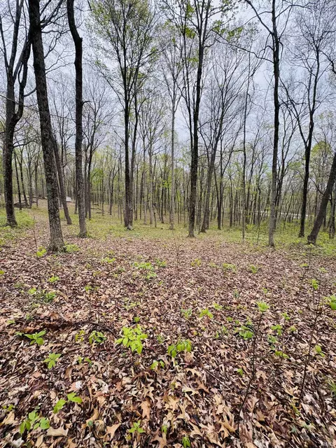 Tract 3 E Pine Road Common, Bloomfield, IN 47424 photo 9