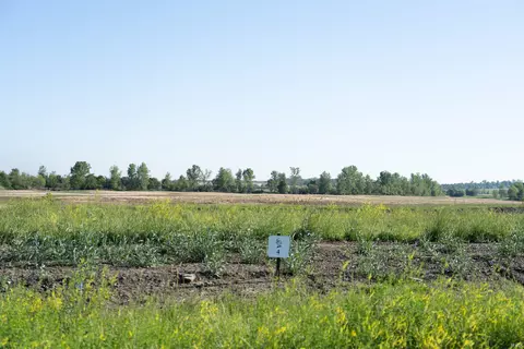 10105 Ayrshire Rd, Chandler, IN 47610