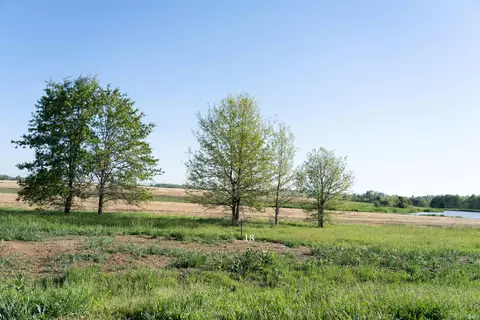 9685 Ayrshire Rd, Chandler, IN 47610