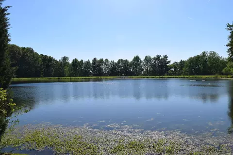 11741 Vienna Rd, Wadesville, IN 47638