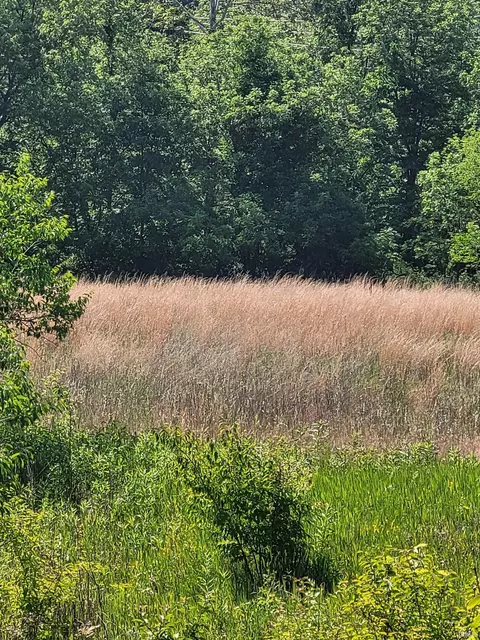 W State Road 18, Delphi, IN 46923 photo 6
