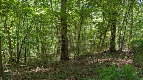lot16 Bell Hollow Rd, Cannelton, IN 47520