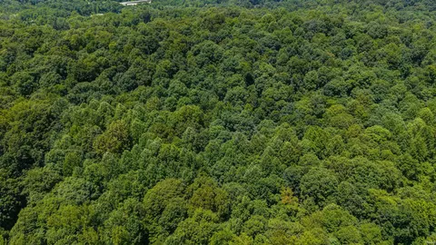 lot14 Bell Hollow Rd #14, Cannelton, IN 47520