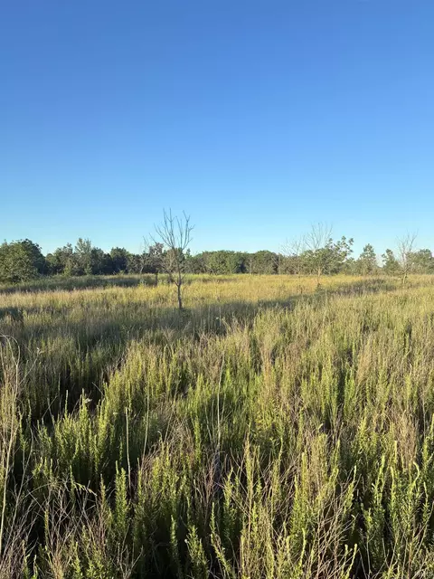 0 Stanley Rd, Elberfeld, IN 47613