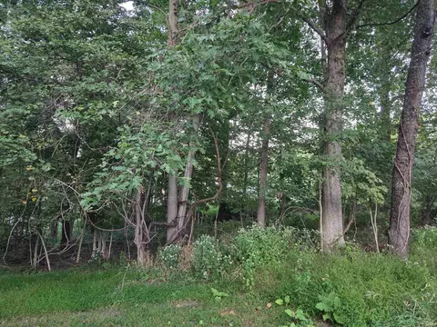 3757 E Stipp Rd, Bloomington, IN 47401 photo 11