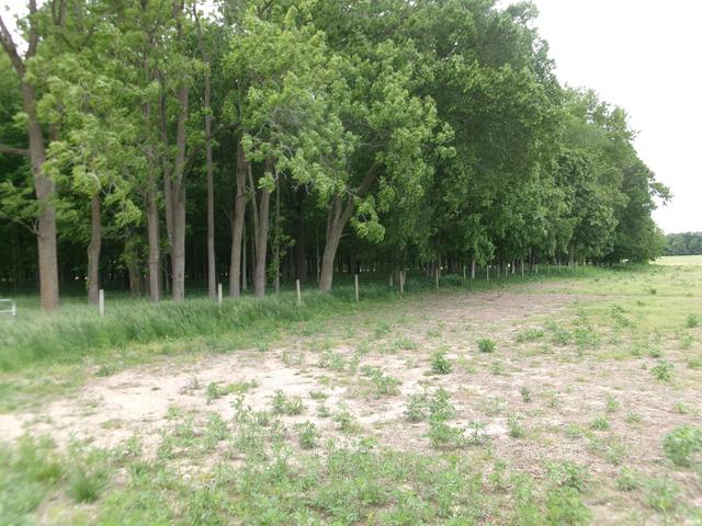 3500 W 300 N, Frankfort, IN 46041