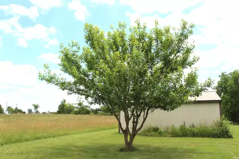 4339 Us Hwy 6, Waterloo, IN 46793 photo 11
