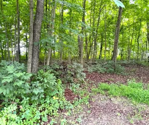 Other - 2875 E 700 N, Fremont, IN 46737 photo 15 of 17