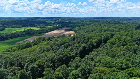 42 Acres 8669 Bird Ln, Shoals, IN 47581